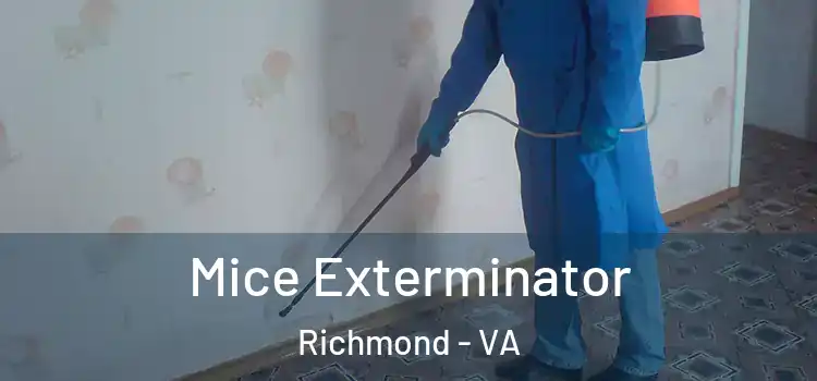 Mice Exterminator Richmond - VA