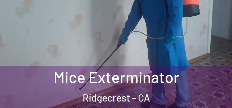  Mice Exterminator Ridgecrest - CA