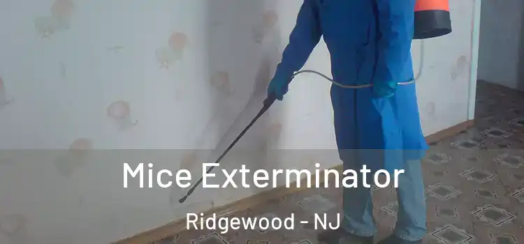 Mice Exterminator Ridgewood - NJ