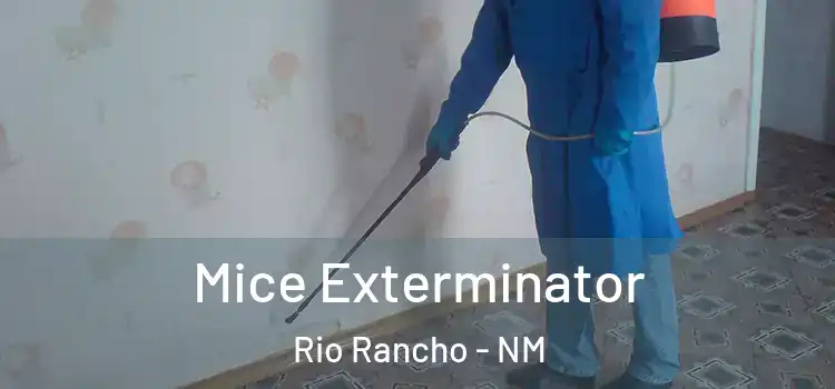  Mice Exterminator Rio Rancho - NM