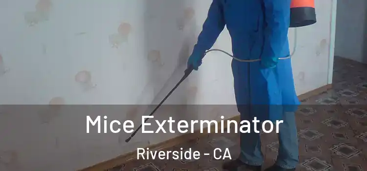  Mice Exterminator Riverside - CA