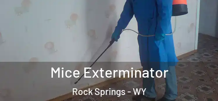 Mice Exterminator Rock Springs - WY