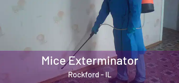  Mice Exterminator Rockford - IL