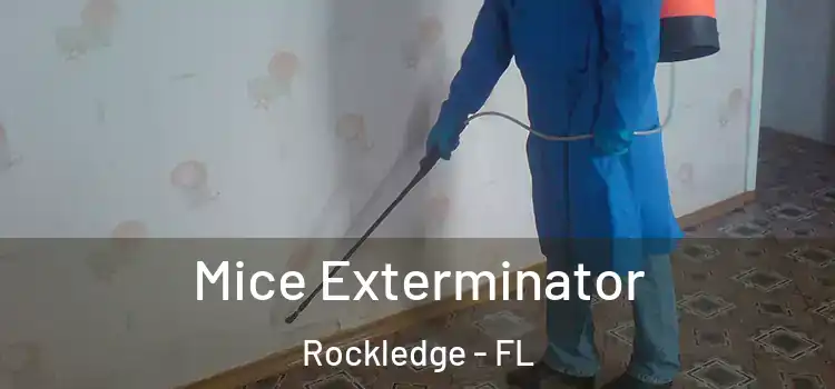 Mice Exterminator Rockledge - FL