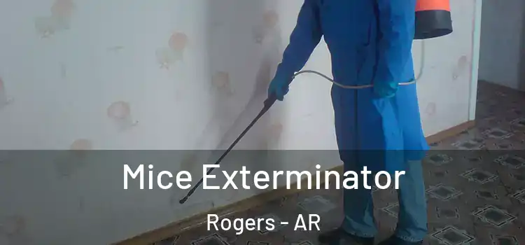  Mice Exterminator Rogers - AR