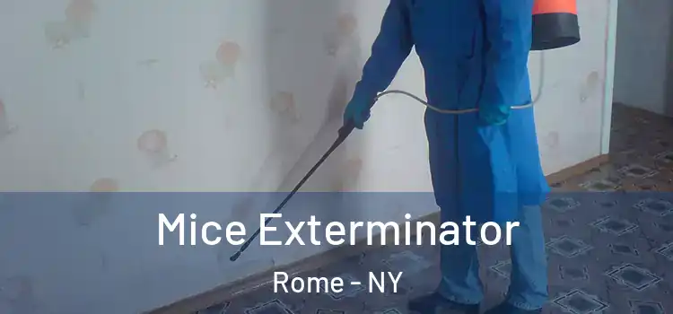  Mice Exterminator Rome - NY