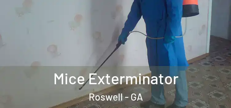  Mice Exterminator Roswell - GA