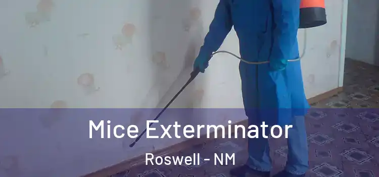  Mice Exterminator Roswell - NM