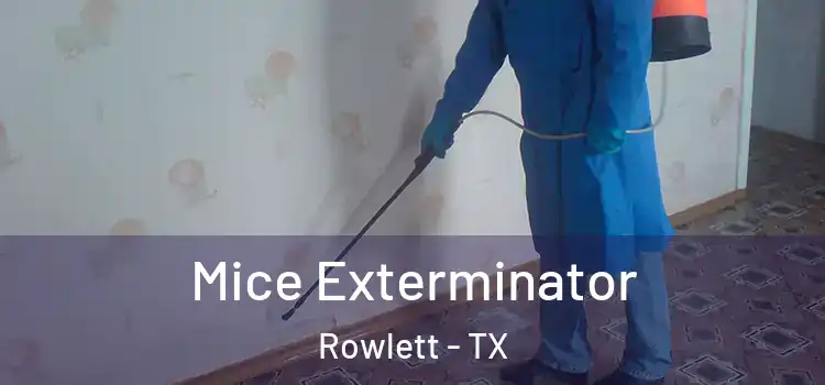 Mice Exterminator Rowlett - TX