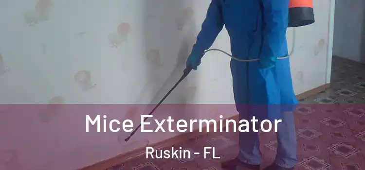 Mice Exterminator Ruskin - FL