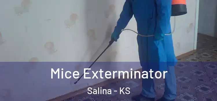 Mice Exterminator Salina - KS
