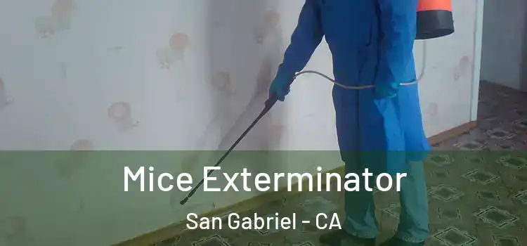  Mice Exterminator San Gabriel - CA