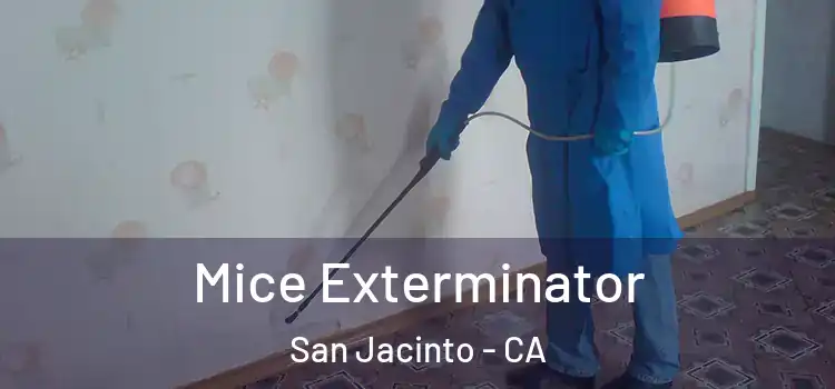 Mice Exterminator San Jacinto - CA