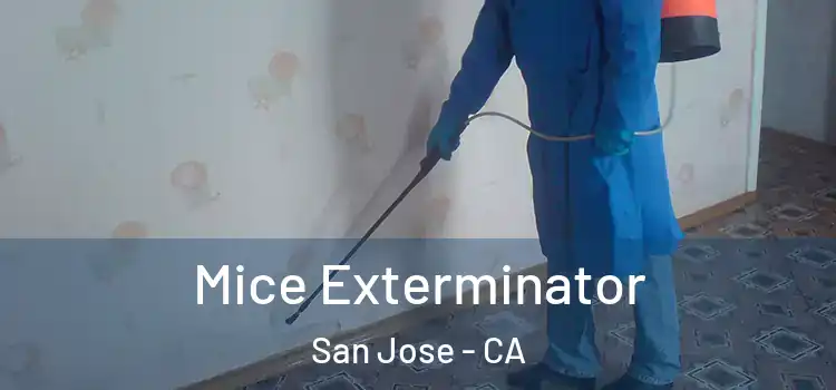  Mice Exterminator San Jose - CA