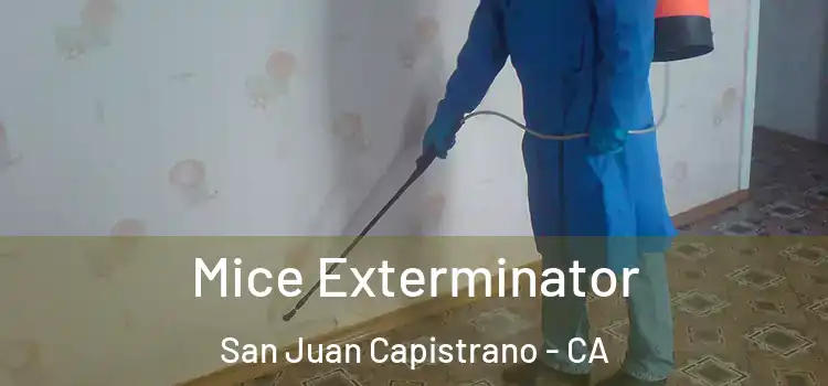  Mice Exterminator San Juan Capistrano - CA