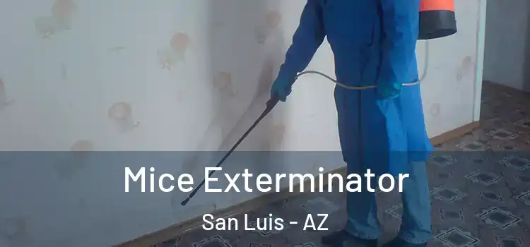  Mice Exterminator San Luis - AZ