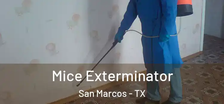  Mice Exterminator San Marcos - TX