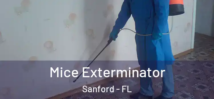Mice Exterminator Sanford - FL