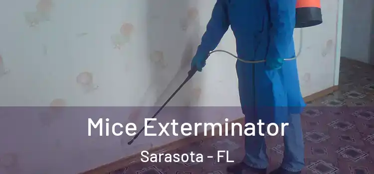  Mice Exterminator Sarasota - FL