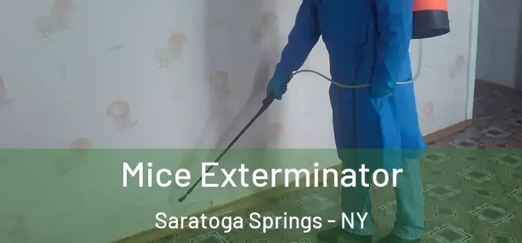  Mice Exterminator Saratoga Springs - NY
