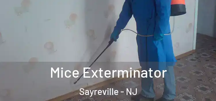  Mice Exterminator Sayreville - NJ