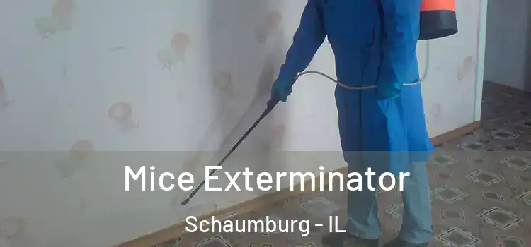 Mice Exterminator Schaumburg - IL