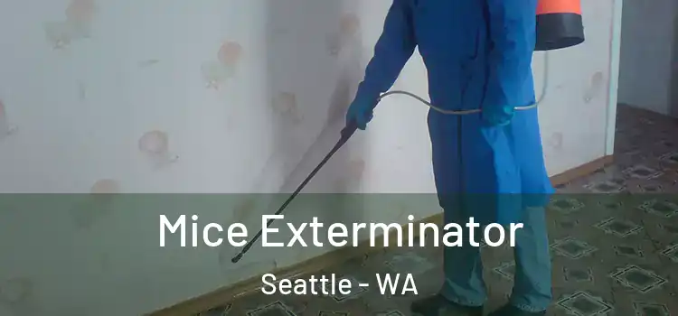  Mice Exterminator Seattle - WA