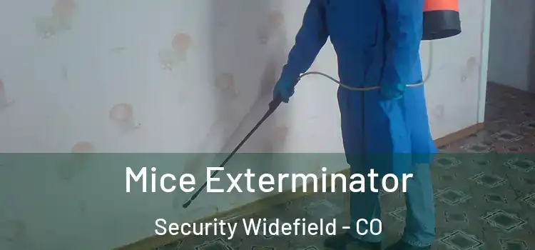 Mice Exterminator Security Widefield - CO