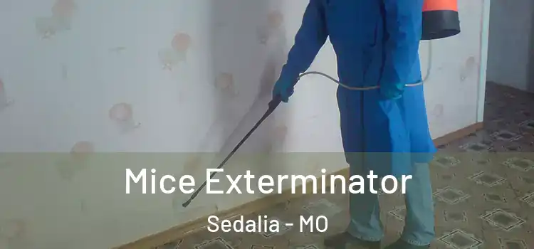  Mice Exterminator Sedalia - MO