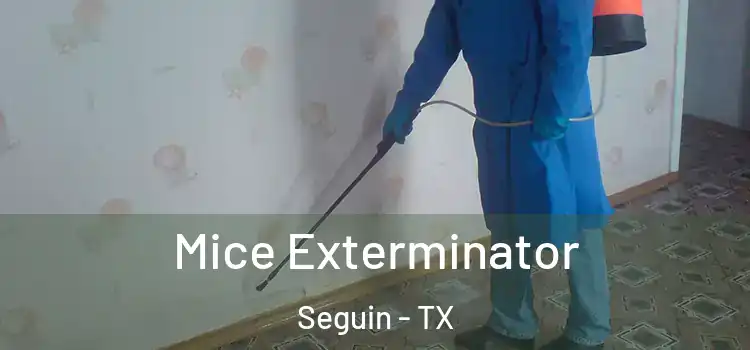  Mice Exterminator Seguin - TX