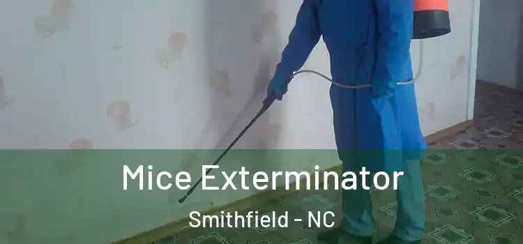  Mice Exterminator Smithfield - NC