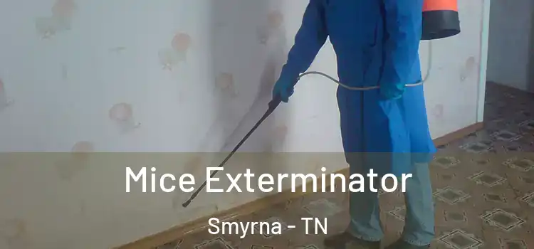 Mice Exterminator Smyrna - TN