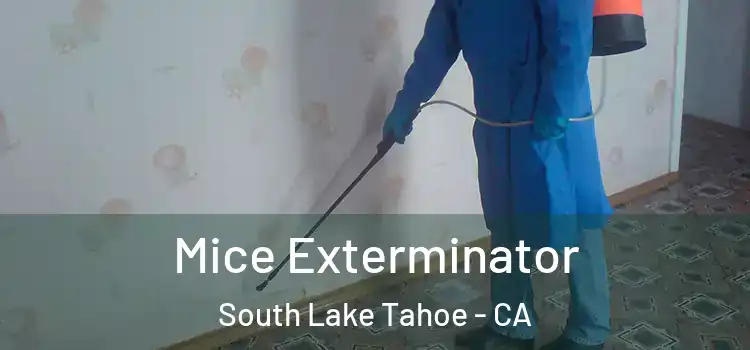  Mice Exterminator South Lake Tahoe - CA
