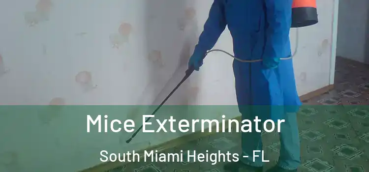  Mice Exterminator South Miami Heights - FL