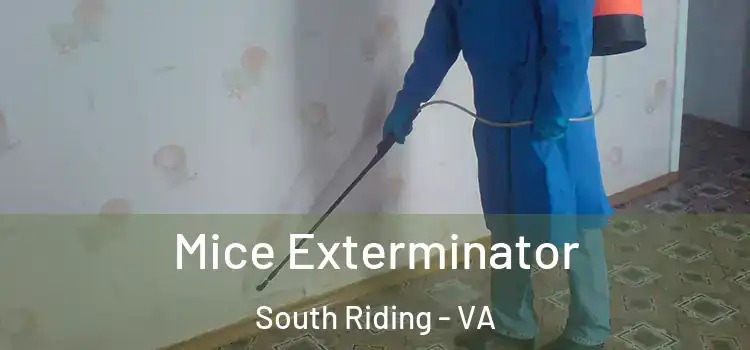  Mice Exterminator South Riding - VA