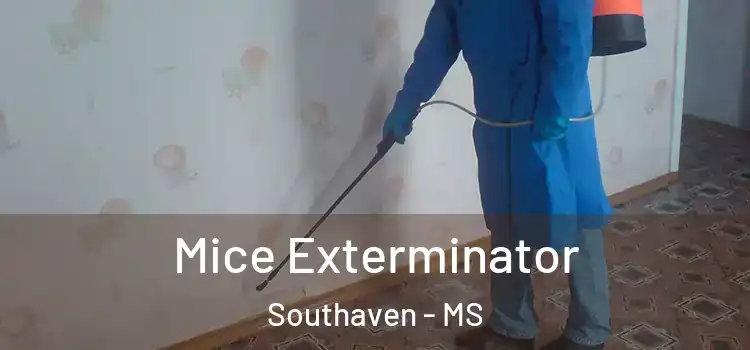 Mice Exterminator Southaven - MS