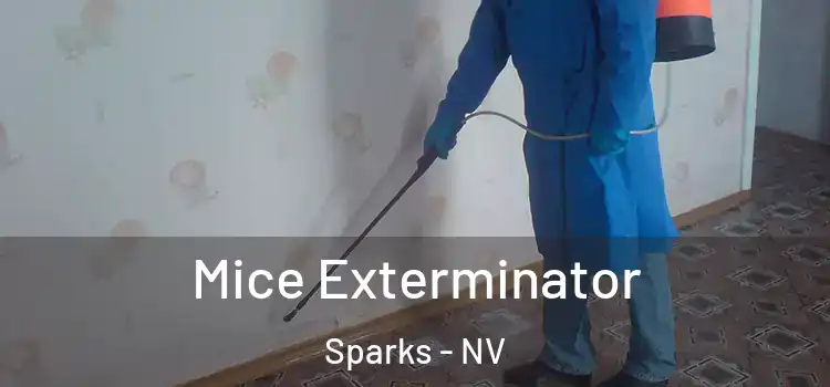 Mice Exterminator Sparks - NV