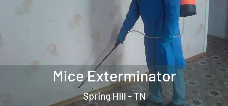 Mice Exterminator Spring Hill - TN