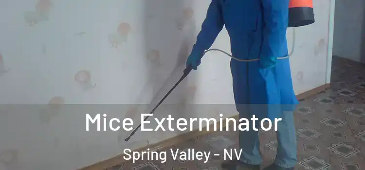 Mice Exterminator Spring Valley - NV