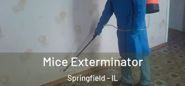 Mice Exterminator Springfield - IL