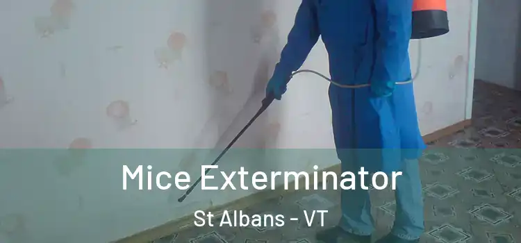  Mice Exterminator St Albans - VT