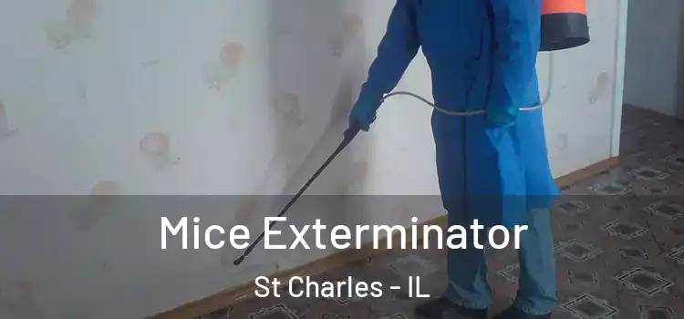 Mice Exterminator St Charles - IL
