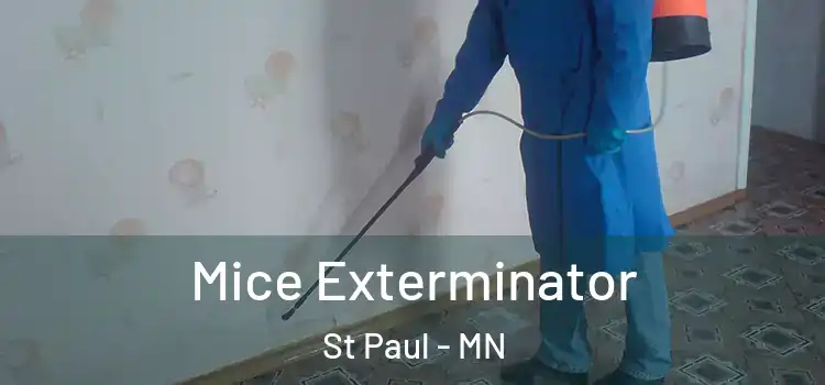  Mice Exterminator St Paul - MN