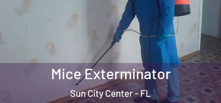  Mice Exterminator Sun City Center - FL