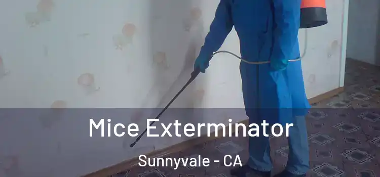  Mice Exterminator Sunnyvale - CA