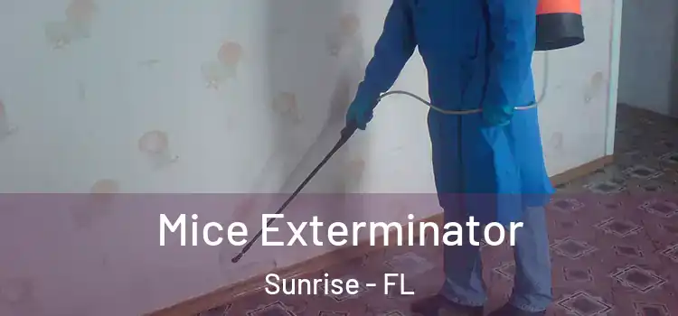  Mice Exterminator Sunrise - FL