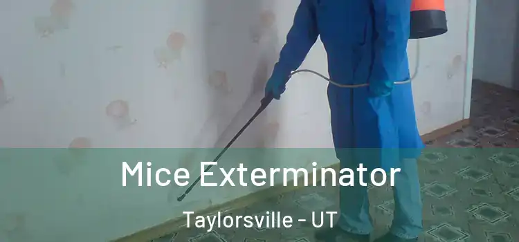  Mice Exterminator Taylorsville - UT