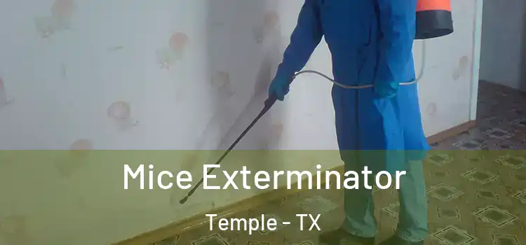 Mice Exterminator Temple - TX