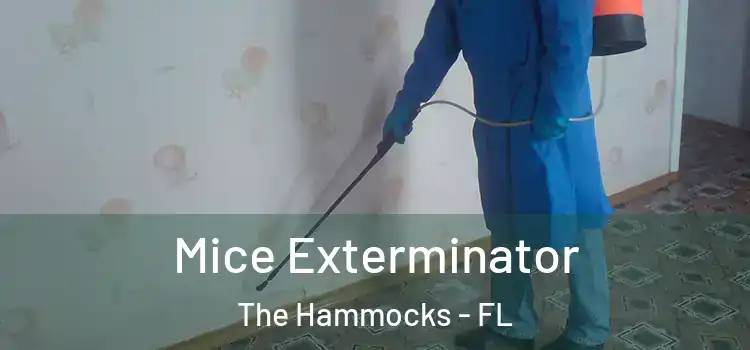 Mice Exterminator The Hammocks - FL