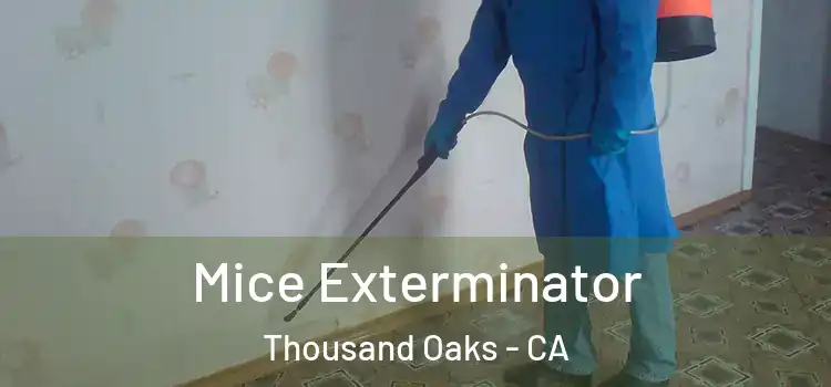  Mice Exterminator Thousand Oaks - CA